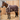 MHS Stalldecke Crusader Plus 300gr