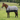 MHS Safari Regendecke mit Fleece