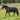 Couverture de pluie MHS Luna 0 gramme