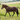Couverture polaire MHS Showfleece