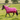 Couverture d'hiver MHS Jessy 300 grammes tour de cou amovible